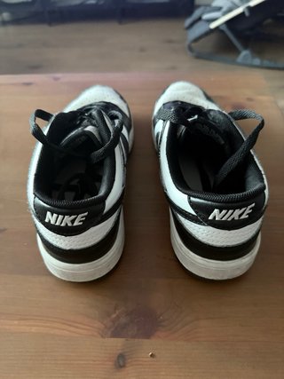 Nike Dunk Low Panda
