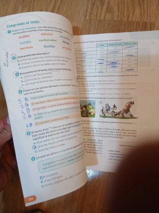 Lengua castellana y literatura, 5 Primaria Revuela