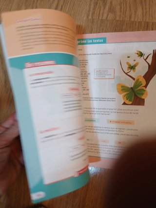 Lengua castellana y literatura, 5 Primaria Revuela