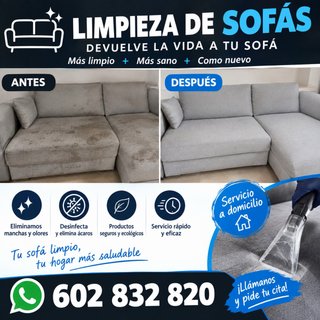 Limpieza sofas