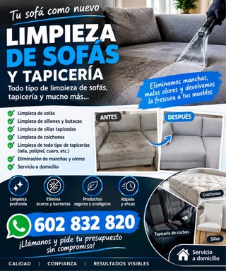 Limpieza sofas