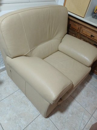 Sofá y sillón de piel beige