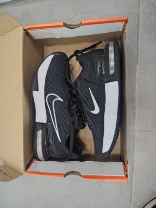 Zapatillas Nike Alpha Trainer 6 N°41