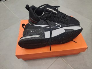 Zapatillas Nike Alpha Trainer 6 N°41