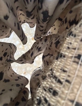 Falda Shein Talla Única Estampada