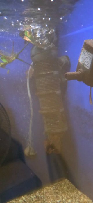 Acuario 400L con mueble