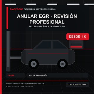 anular egr · Revisión profesional