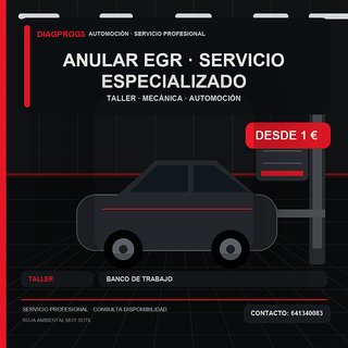 anular egr · Servicio especializado