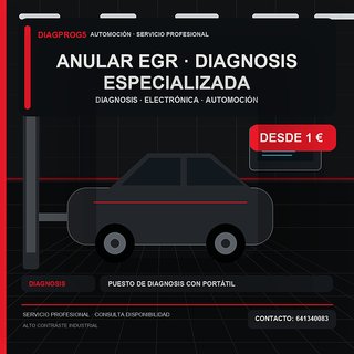 anular egr · Diagnosis especializada