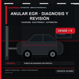 anular egr · Diagnosis y revisión