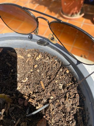 Gafas de sol Ray-Ban Aviator Marrón/Dorado
