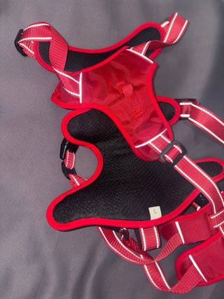 Arnés para perro DUVMA rojo