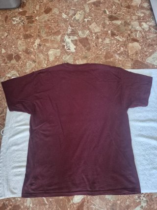 Camiseta Champion Winthrop Dad Talla XL