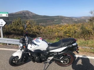 Yamaha FZ6 S1 Naked 2008 Blanca