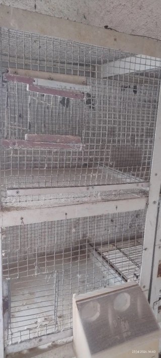 Jaula para pájaros o animales pequeños