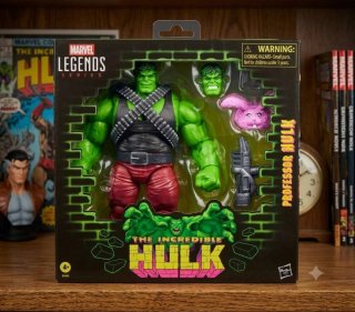 Marvel Legends The Incredible Hulk Professor Hulk