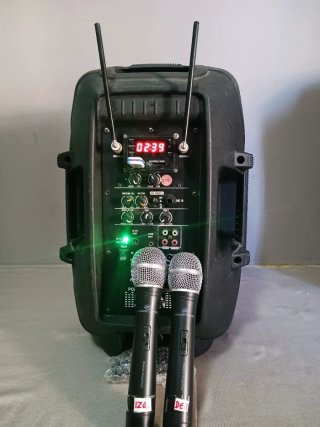Altavoz Acoustic Control Amplificado + 2 Micrófono