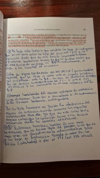 Derecho procesal penal 13ª Edición