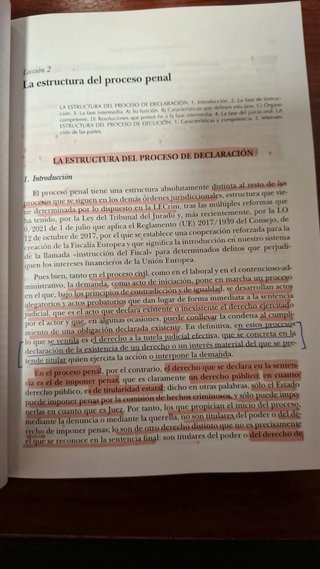 Derecho procesal penal 13ª Edición