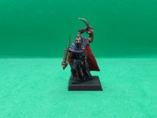 Elfo Oscuro Assassino Warhammer