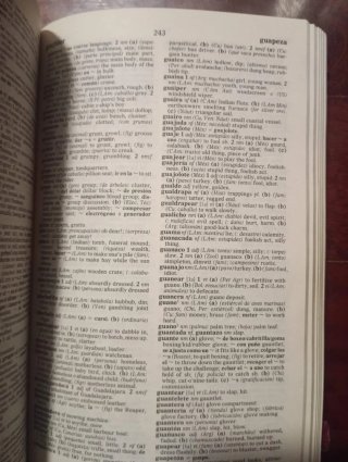 Diccionario de inglés español