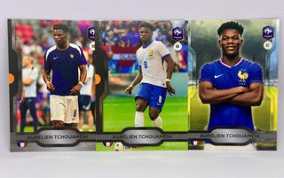 Lote 122 Cartas Panini Francia + Rookie Olise