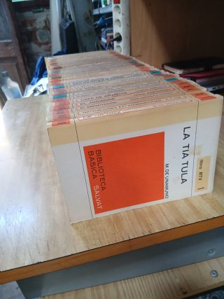 Lote Libros Biblioteca Básica Salvat RTV