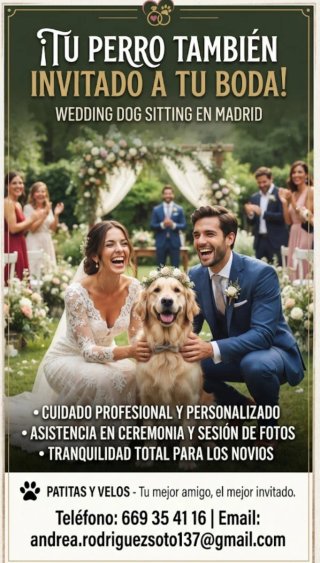 ¡Tu perro también invitado a tu boda!