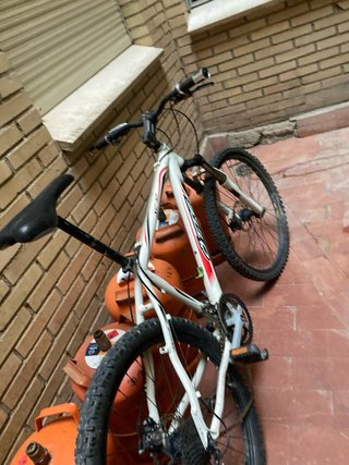 Bicicleta de montaña