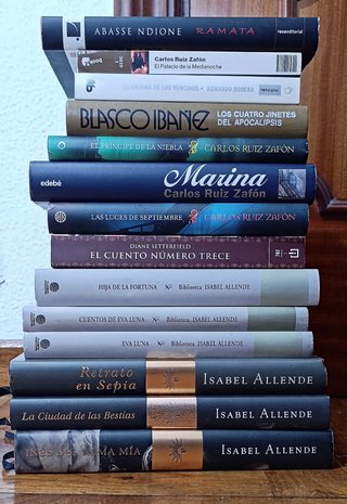 Lote de 14 libros Zafón Allende y más