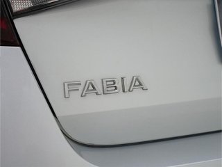 Skoda Fabia 1.0 TSI 115CV Selection DSG