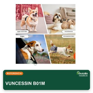 Pañales reutilizables lavables para perros