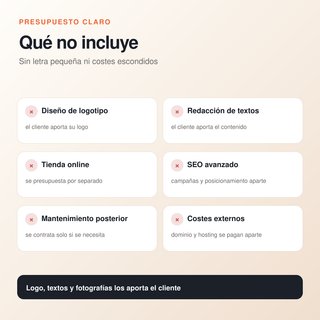 Diseño y creación de página web profesional
