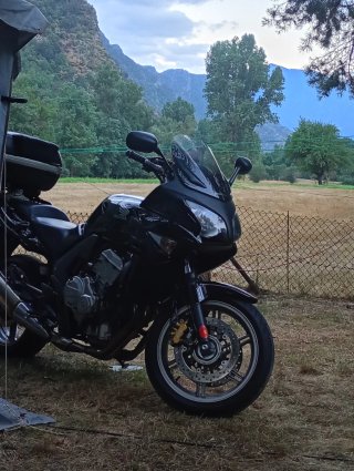 Honda CBF 600 SA ABS 2008