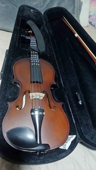 Violín con funda y arco