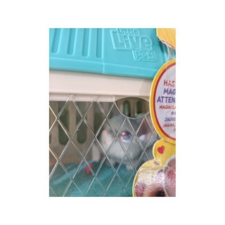 - Little Live Pets Mama Surprise Minis Mouse