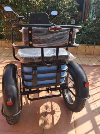 Triciclo Eléctrico