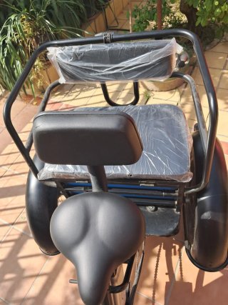 Triciclo Eléctrico