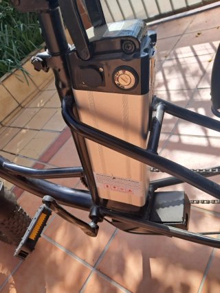 Triciclo Eléctrico