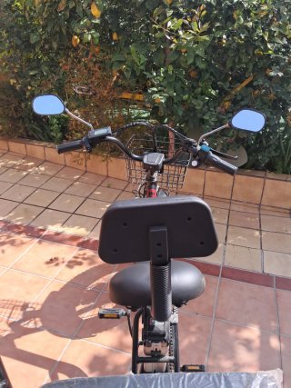 Triciclo Eléctrico