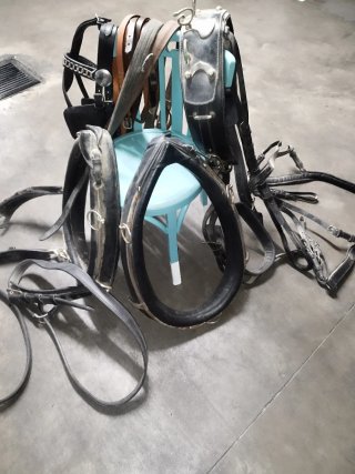 Arreos de enganche para caballo