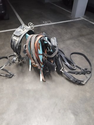 Arreos de enganche para caballo