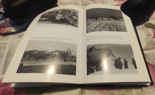 In the Skies of Europe: Air Forces Allied to th...