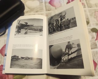 In the Skies of Europe: Air Forces Allied to th...