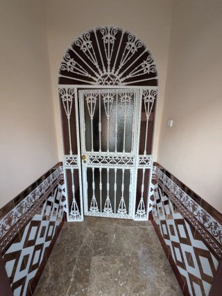 Puerta metálica forja ornamental