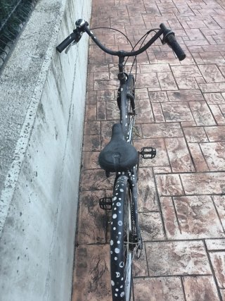 Bicicleta paseo biTwin