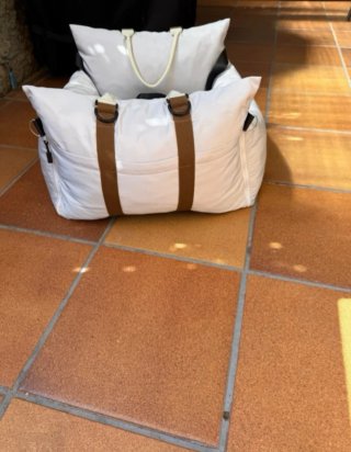 Asiento elevador para perro