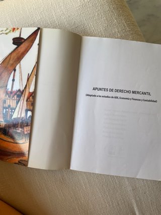 Apuntes de derecho mercantil (adaptado a los es...