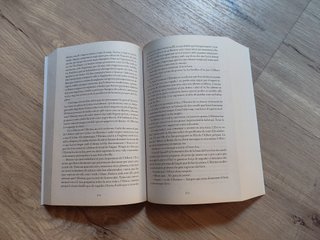 Libro "Una columna de foc" de Ken Follet
