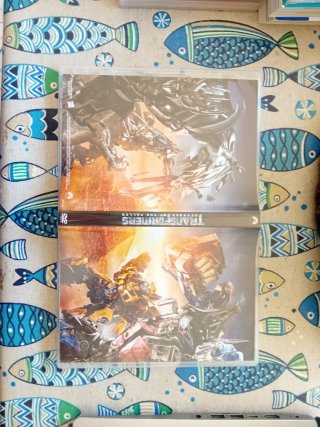 DVD Transformers La Vendetta del Caduto